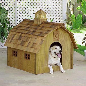 dog house plans. Doggie Barn Dog House Plans