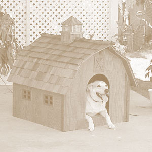 Doggie Barn